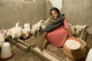 Catalyzing agricultural innovation in Tanzania