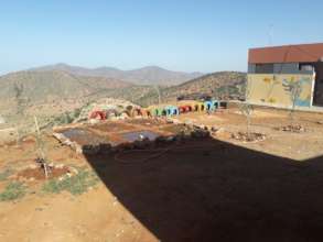 The Colourful School Garden