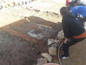 Planting & Watering