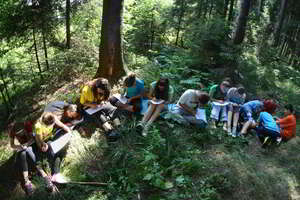 Forest is a great environment for concentration