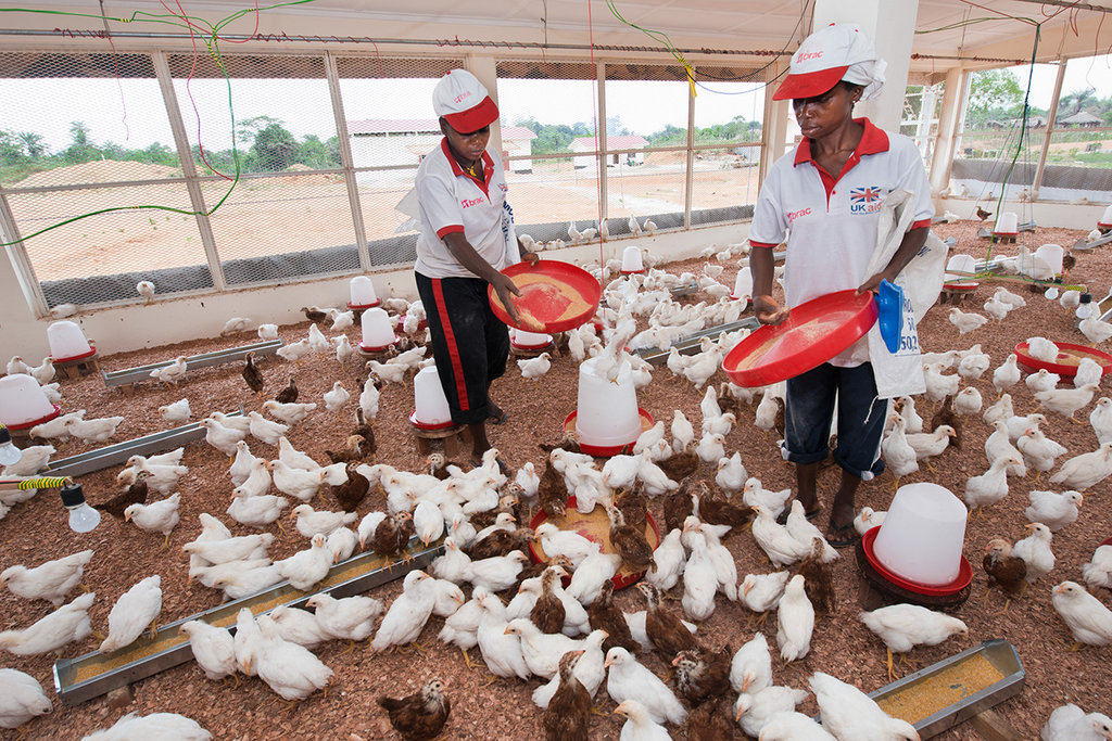 At the feed mill (BRAC/Alison Wright, 2014)