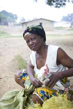 Support a hatchery and feed mill in Liberia