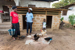 Small scale poultry operation in Liberia