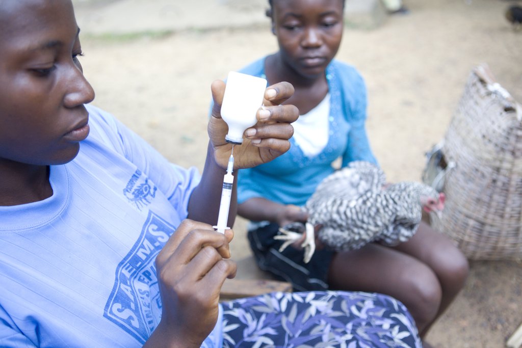 Support Family Farming in Liberia and Sierra Leone