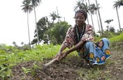 Support Family Farming in Liberia and Sierra Leone
