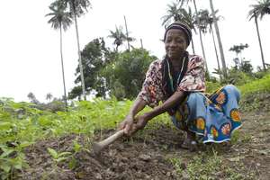 Support Family Farming in Liberia and Sierra Leone