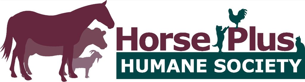 Horse Rescue Horse Humane Society Near Me Nevada Slaughter Auction