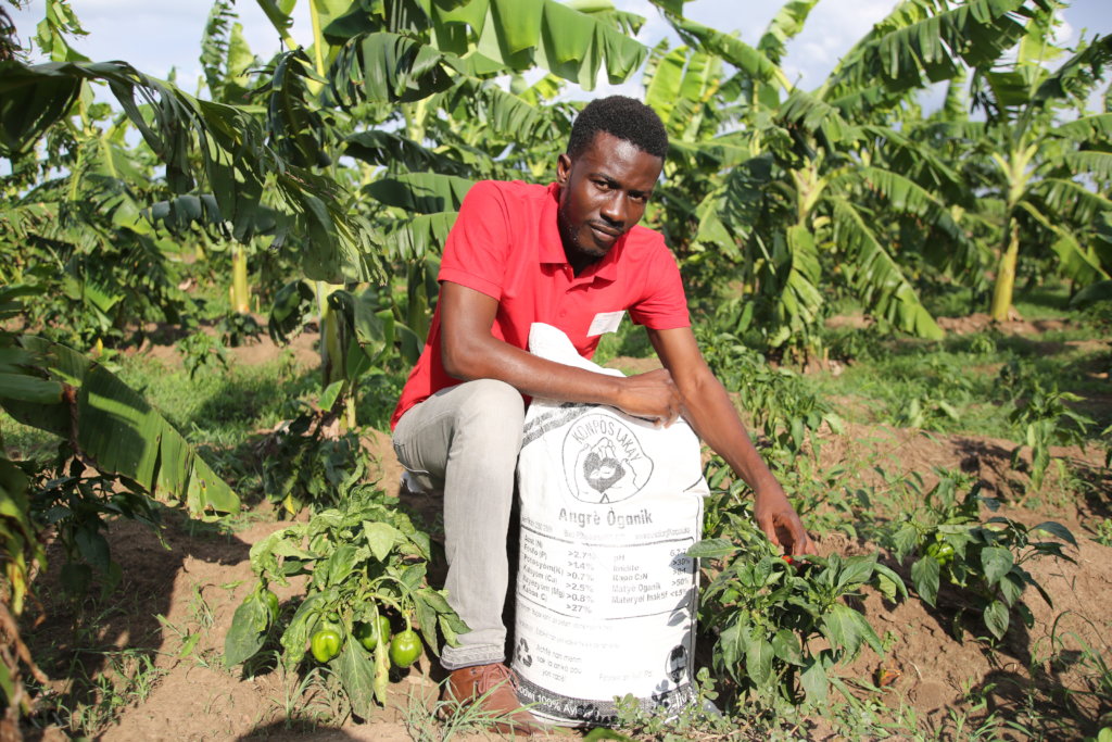 Generating Organic Compost for Farming in Haiti