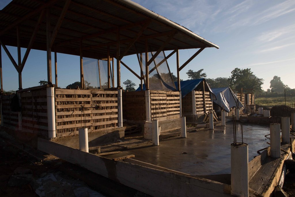 Generating Organic Compost for Farming in Haiti