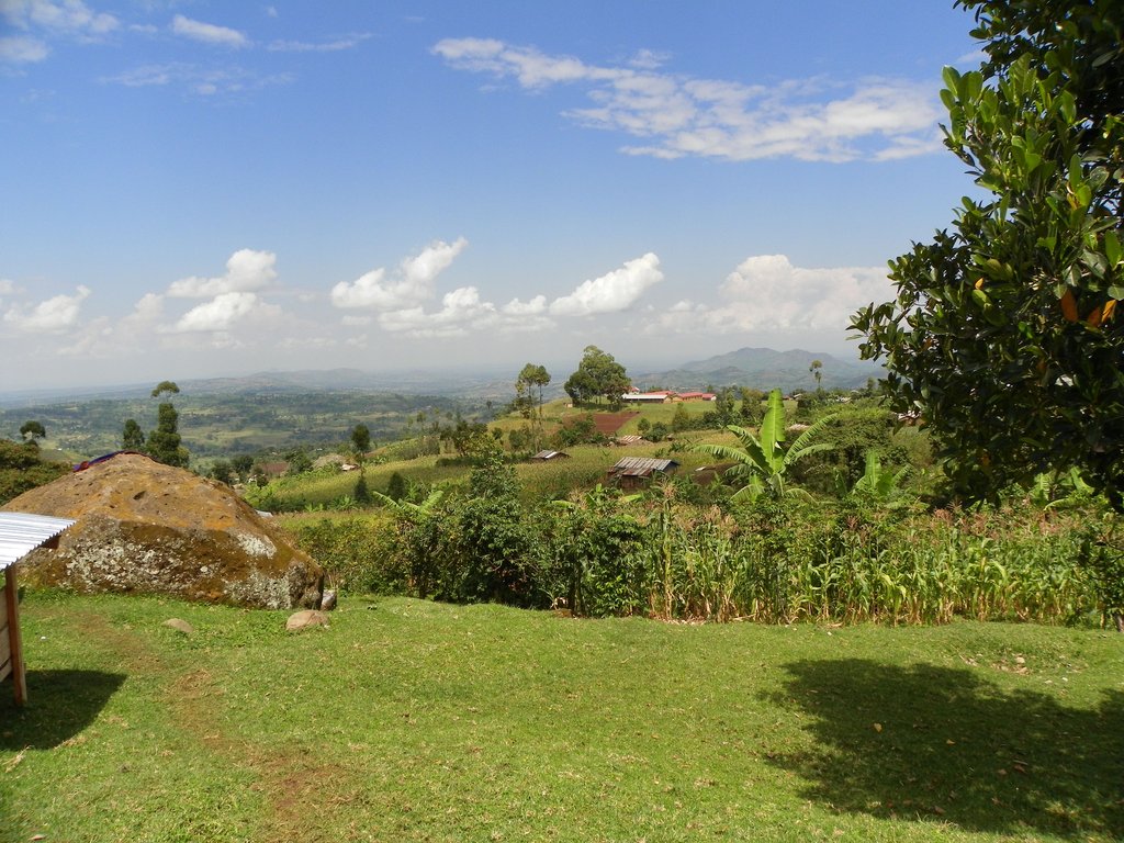 Health Care for Poor Ugandan Students