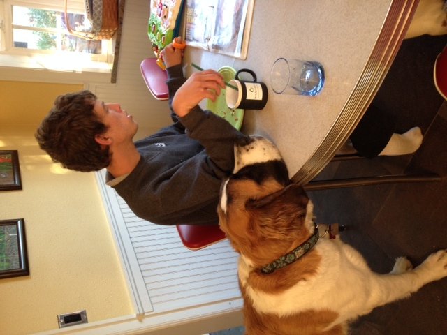 Seizure-Response Dog for Daniel