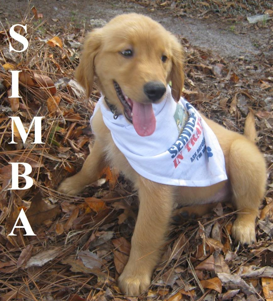 Seizure-Response Dog for Addisyn