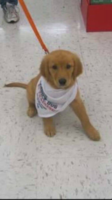 Seizure-Response Dog for Addisyn