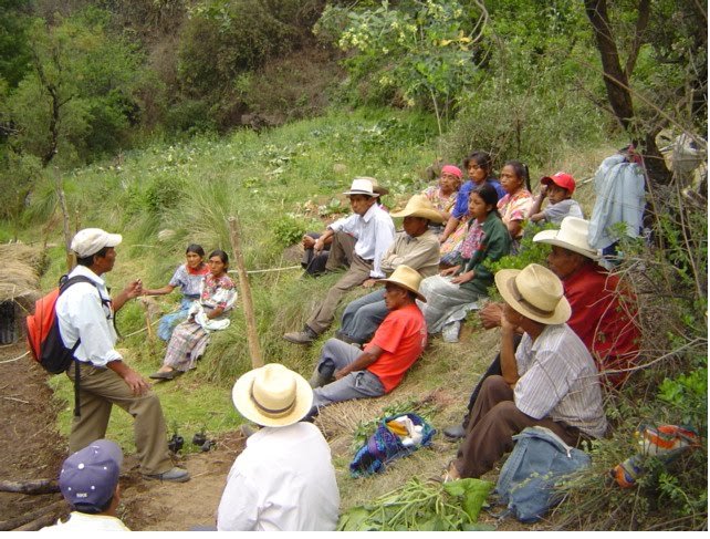 Sustainable Agriculture in Guatemala