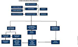 Organizational Set-Up