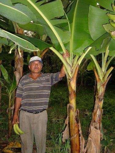 Water Well Need - Norwich, Nicaragua