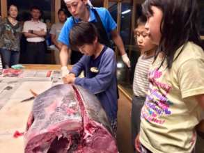 Cutting big tuna for anniversary dinner