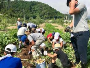 Working with local farmer to find potatoes