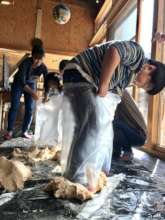 Ogatsu elementary school children making miso