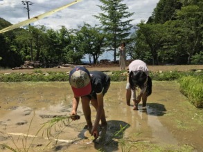 Planting rice in front of MORIUMIUS