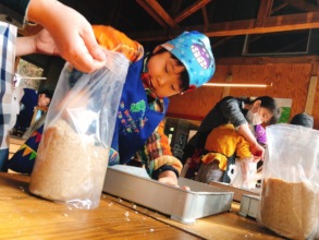 Packing soy bean paste to be fermented