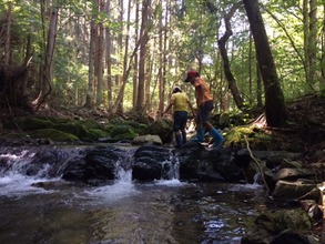 Tracing the source of water