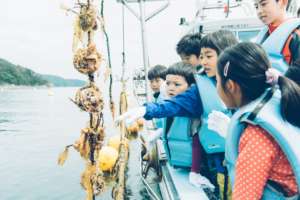 Fishery experience