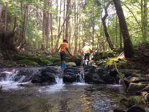 Searching for water source