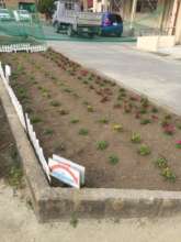 Kama ES Flower Garden