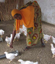 The Fass Kane cooperative continues to thrive