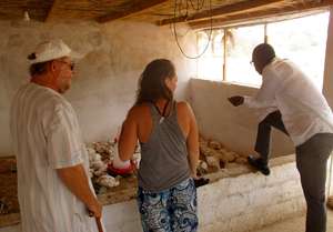 Chickens will be ready for sale for Korite