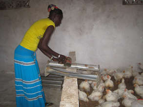 Ouarkhokh coop members are diligent caretakers