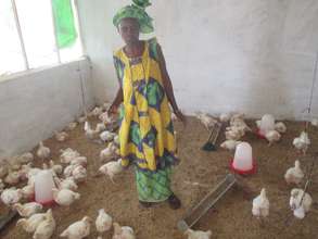 Women ensure chicks have enough food and water