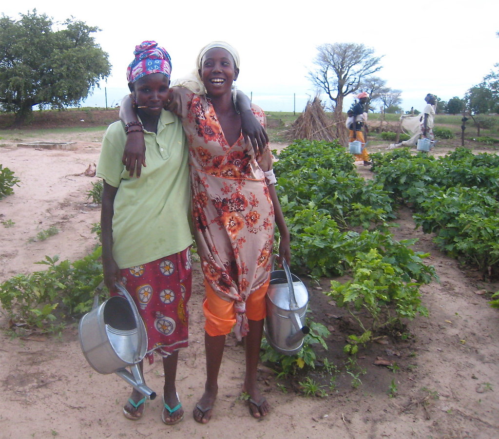 Economic Self-sufficiency for 280 Senegalese Women