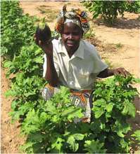 Ngone, Cooperative member in Thieneba