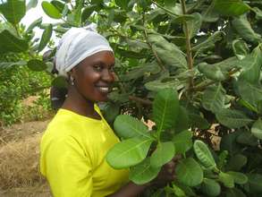 Binta with the cashew trees she helped plant