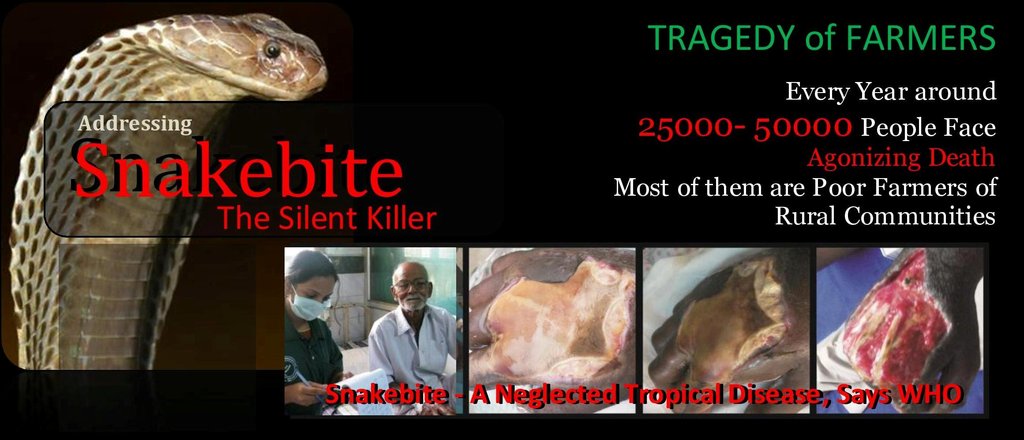 Alleviating Sufferings of Rural Snakebite Victims