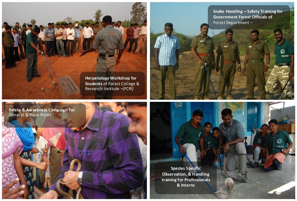 Alleviating Sufferings of Rural Snakebite Victims