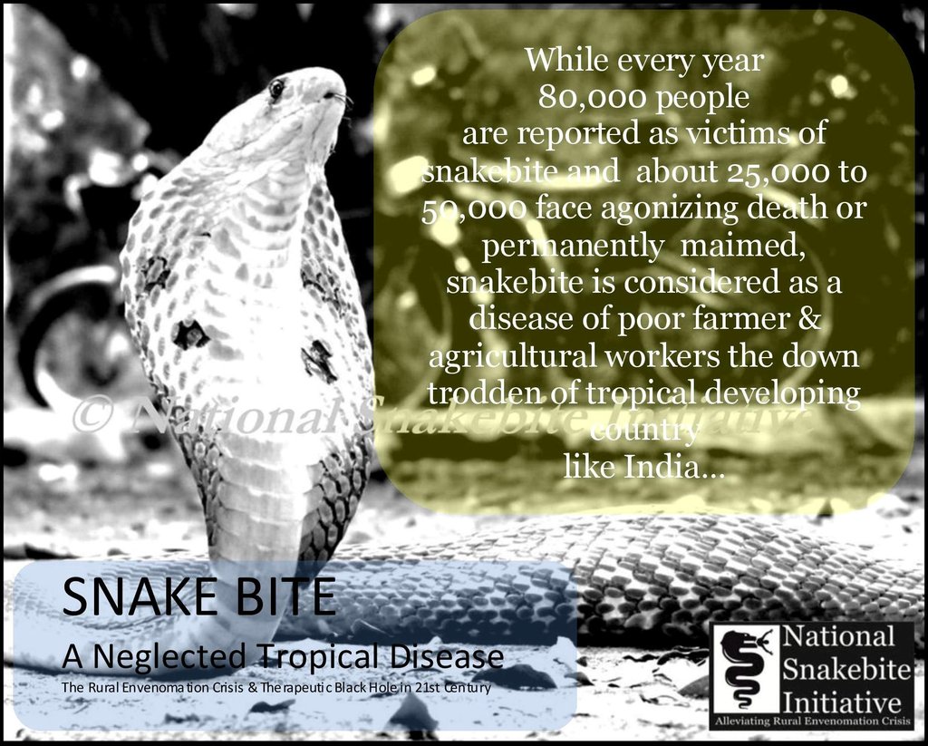 Alleviating Sufferings of Rural Snakebite Victims