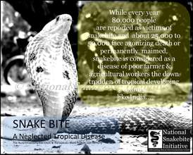 Rescued Cobra from human settlement.