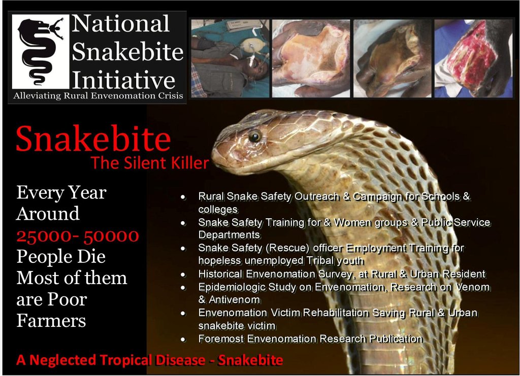 Alleviating Sufferings of Rural Snakebite Victims
