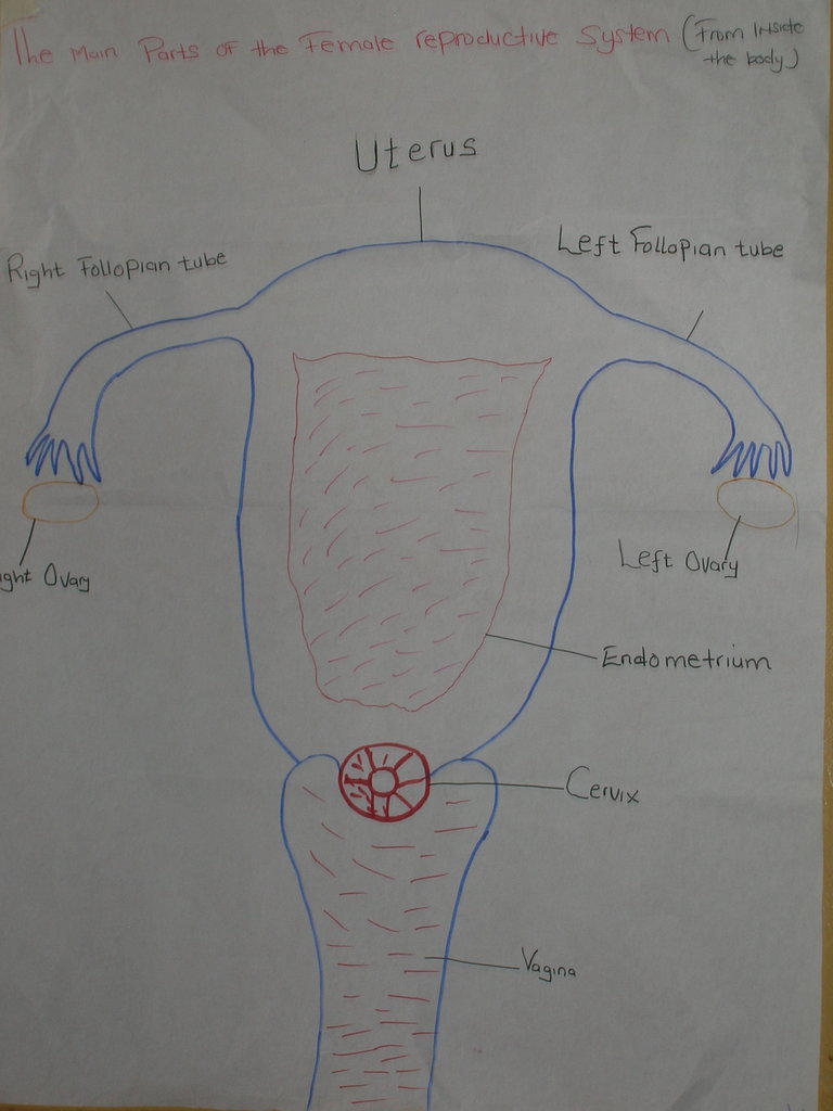 Help reduce teenage pregnancies in Uganda