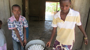 Hauling Eggs to Feed School Children