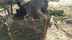 Coop Construction