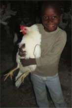 Learning to care for hens