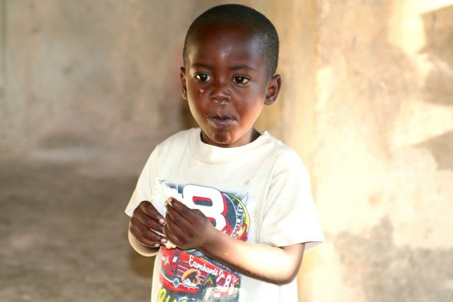 Egg Laying Hens for Haitian Families