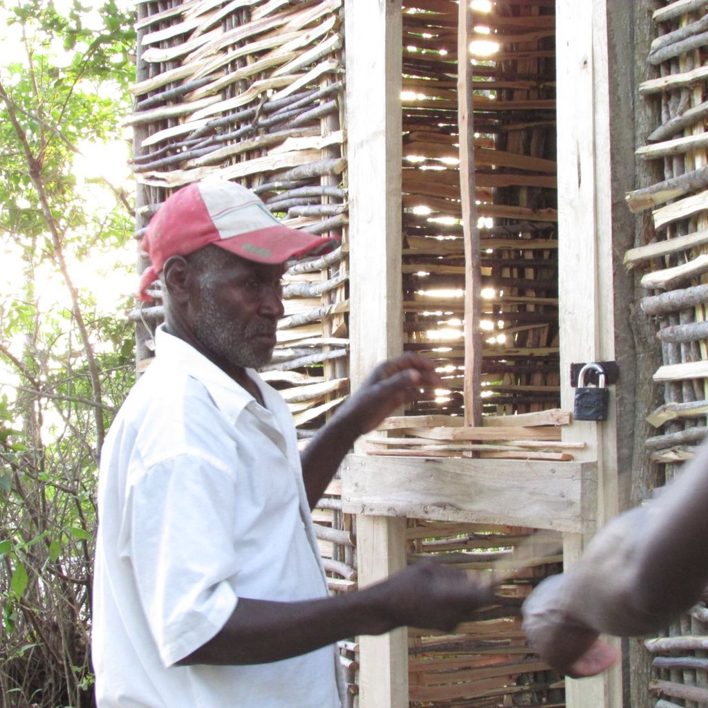 Egg Laying Hens for Haitian Families