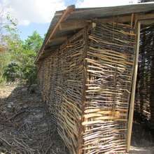 Chicken Coop!