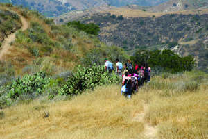 Naturalist led hike