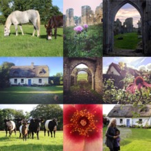 photos from the farm